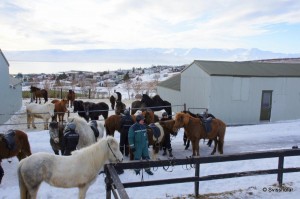 Kaldbakur Tour 2015 (14)